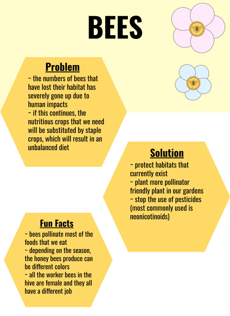 agriculture assessment